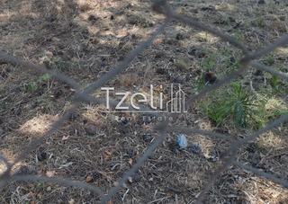 Οικόπεδο 1.024 τ.μ. για πώληση, Αχαΐα, Ρίο-thumb-9
