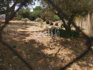 Οικόπεδο 1.024 τ.μ. για πώληση, Αχαΐα, Ρίο-thumb-10