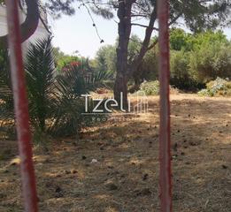 Οικόπεδο 1.024 τ.μ. για πώληση, Αχαΐα, Ρίο-thumb-11