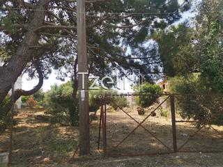Οικόπεδο 1.024 τ.μ. για πώληση, Αχαΐα, Ρίο-thumb-26