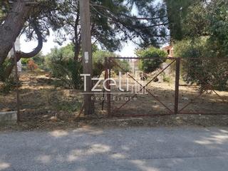 Οικόπεδο 1.024 τ.μ. για πώληση, Αχαΐα, Ρίο-thumb-29