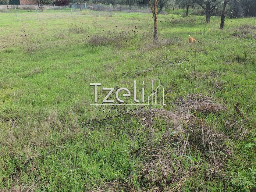 Land plot 1.250sqm for sale-Amaliada » Avgeio