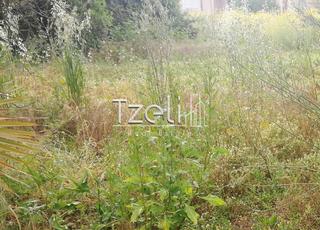 Οικόπεδο 1.250 τ.μ. για πώληση, Ν. Ηλείας, Αμαλιάδα-thumb-1