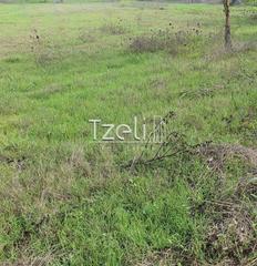 Οικόπεδο 1.250 τ.μ. για πώληση, Ν. Ηλείας, Αμαλιάδα-thumb-24