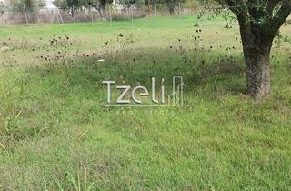 Οικόπεδο 1.250 τ.μ. για πώληση, Ν. Ηλείας, Αμαλιάδα-thumb-28