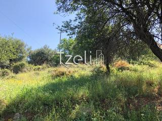 Οικόπεδο 1.200 τ.μ. για πώληση