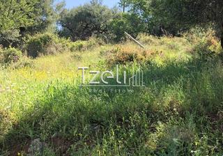 Οικόπεδο 1.200 τ.μ. για πώληση, Αχαΐα, Μεσσατίδα-thumb-3