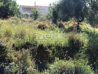 Οικόπεδο 1.200 τ.μ. για πώληση, Αχαΐα, Μεσσατίδα-thumb-4