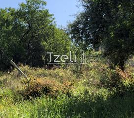 Οικόπεδο 1.200 τ.μ. για πώληση, Αχαΐα, Μεσσατίδα-thumb-7