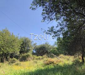 Οικόπεδο 1.200 τ.μ. για πώληση, Αχαΐα, Μεσσατίδα-thumb-16