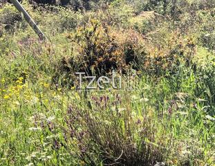 Οικόπεδο 1.200 τ.μ. για πώληση, Αχαΐα, Μεσσατίδα-thumb-17