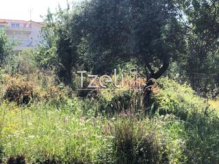 Οικόπεδο 1.200 τ.μ. για πώληση, Αχαΐα, Μεσσατίδα-thumb-18