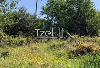 Οικόπεδο 1.200 τ.μ. για πώληση, Αχαΐα, Μεσσατίδα-thumb-19