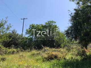 Οικόπεδο 1.200 τ.μ. για πώληση, Αχαΐα, Μεσσατίδα-thumb-21