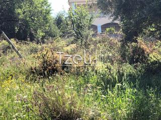 Οικόπεδο 1.200 τ.μ. για πώληση, Αχαΐα, Μεσσατίδα-thumb-23