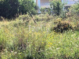 Οικόπεδο 1.200 τ.μ. για πώληση, Αχαΐα, Μεσσατίδα-thumb-24