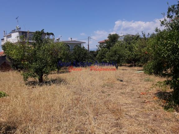 Οικόπεδο 1.483 τ.μ. για πώληση, Αχαΐα, Αίγιο
