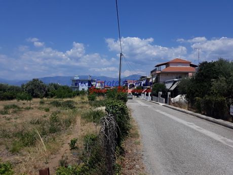 Οικόπεδο 2.294τ.μ. για πώληση-Αίγιο » Κέντρο