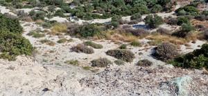 Αγροτεμάχια 7.911 τ.μ. για πώληση, Ν. Λασιθίου, Ιεράπετρα-thumb-2