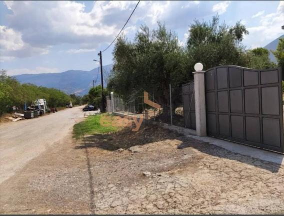 Βιομηχανικός χώρος 200 τ.μ. για ενοικίαση, Αχαΐα, Μεσσατίδα