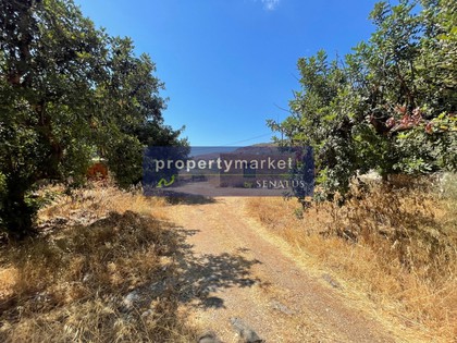 Land plot 687sqm for sale-Geropotamos » Exantis