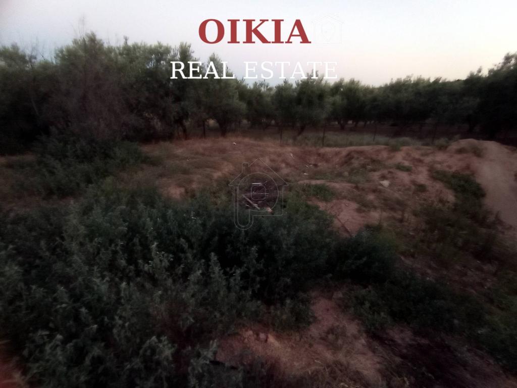 Οικόπεδο 250 τ.μ. πρός πώληση, Μαγνησία, Βόλος