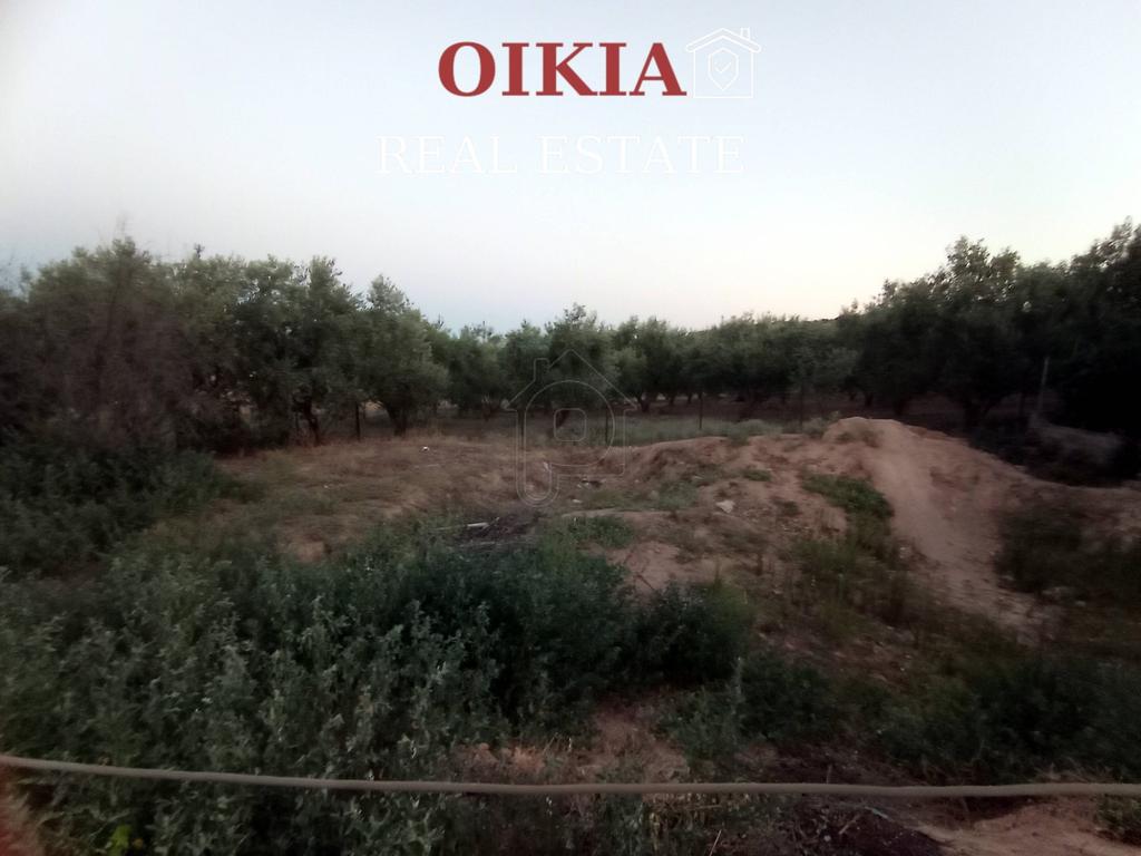 Οικόπεδο 250 τ.μ. πρός πώληση, Μαγνησία, Βόλος