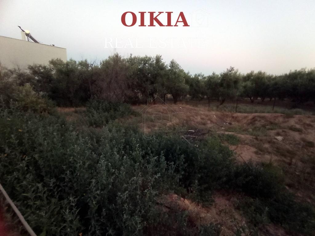 Οικόπεδο 250 τ.μ. πρός πώληση, Μαγνησία, Βόλος