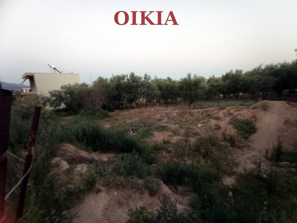 Οικόπεδο 250 τ.μ. πρός πώληση, Μαγνησία, Βόλος