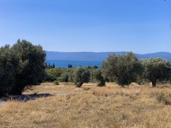 Land plot 6.000 sqm for sale, Evia, Eretria