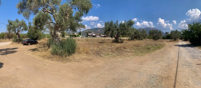 Land plot 2.500 sqm for sale, Evia, Eretria