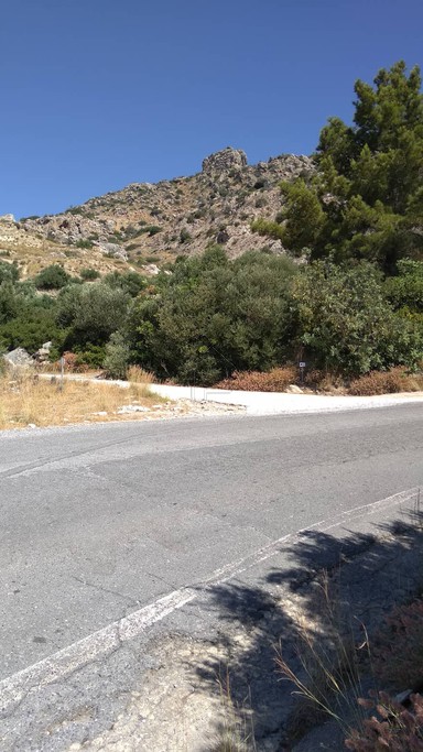 Αγροτεμάχια 7.049 τ.μ. για πώληση