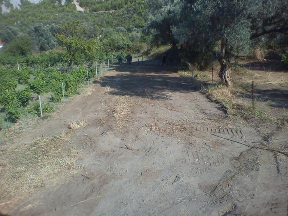 Οικόπεδο 250 τ.μ. για πώληση, Εύβοια, Κηρέα