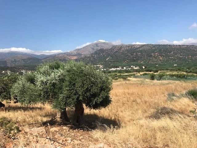 Οικόπεδο 10.702 τ.μ. για πώληση