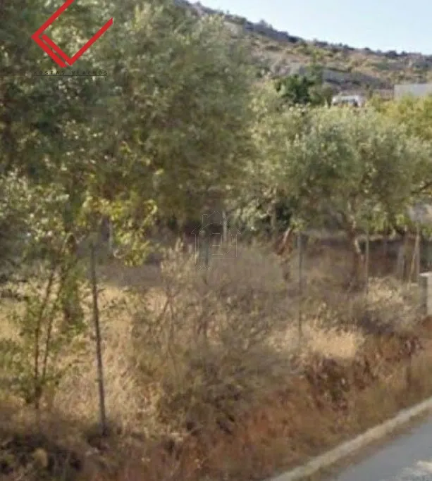 Land plot 1.800 sqm for sale, Chalkidiki, Sithonia