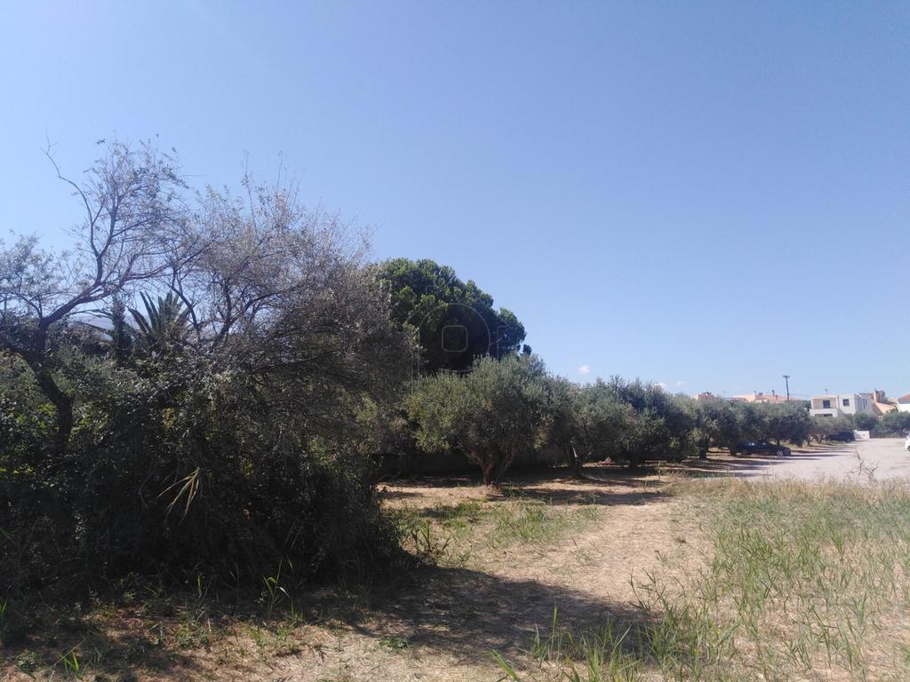Οικόπεδο 1.690 τ.μ. προς πώληση, Άγιος Βασίλειος Ρίου