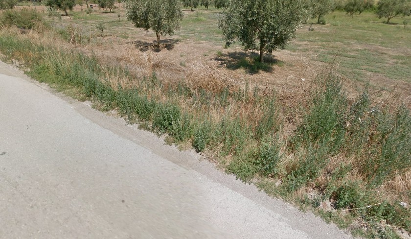 Parcel 5.000sqm for sale-Lamia » Roditsa