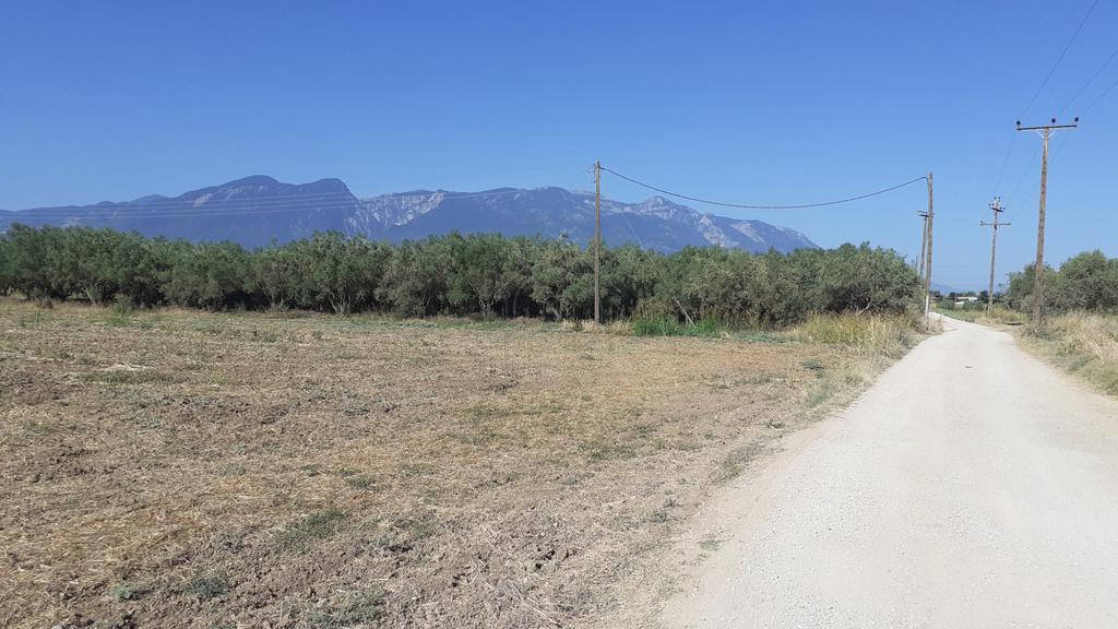 Αγροτεμάχια 40.000 τ.μ. προς πώληση, Ροδίτσα