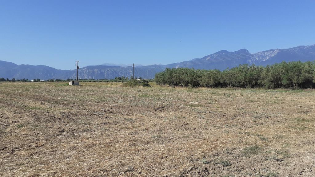 Αγροτεμάχια 40.000 τ.μ. προς πώληση, Ροδίτσα