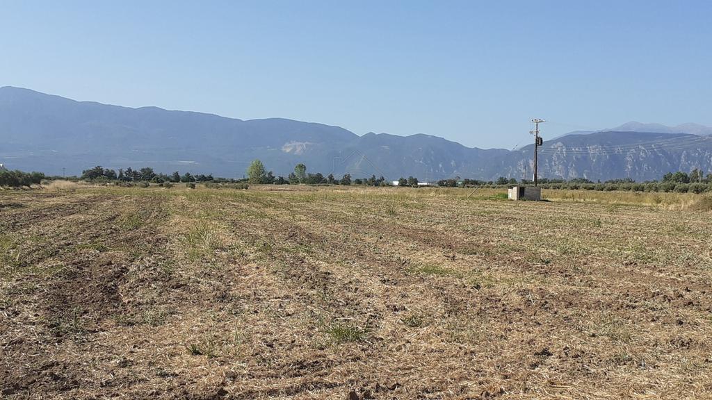 Αγροτεμάχια 40.000 τ.μ. προς πώληση, Ροδίτσα