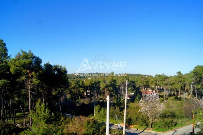 Land plot 910 sqm for sale, Athens - North, Drosia