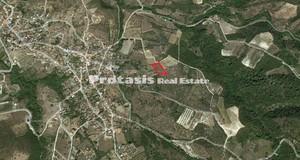 Αγροτεμάχια 2.501,44 τ.μ. για πώληση