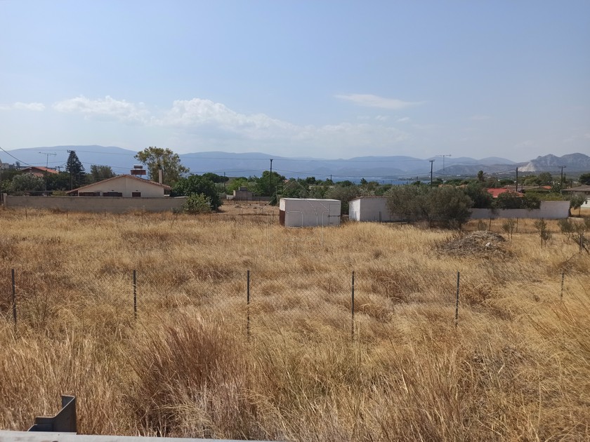Αγροτεμάχια 1.500 τ.μ. για πώληση