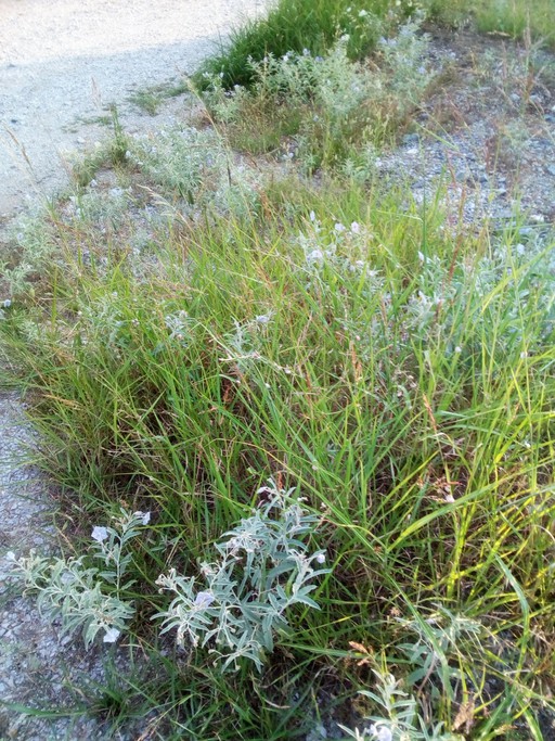 Land plot 588sqm for sale-Thermi » Center Of Thermi