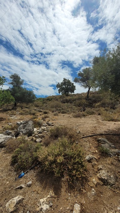 Land plot 4.121sqm for sale-Rethimno » Maroulas
