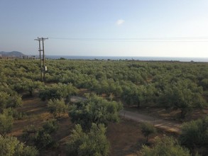 Land plot 48.500sqm for sale-Nestoras » Romanos