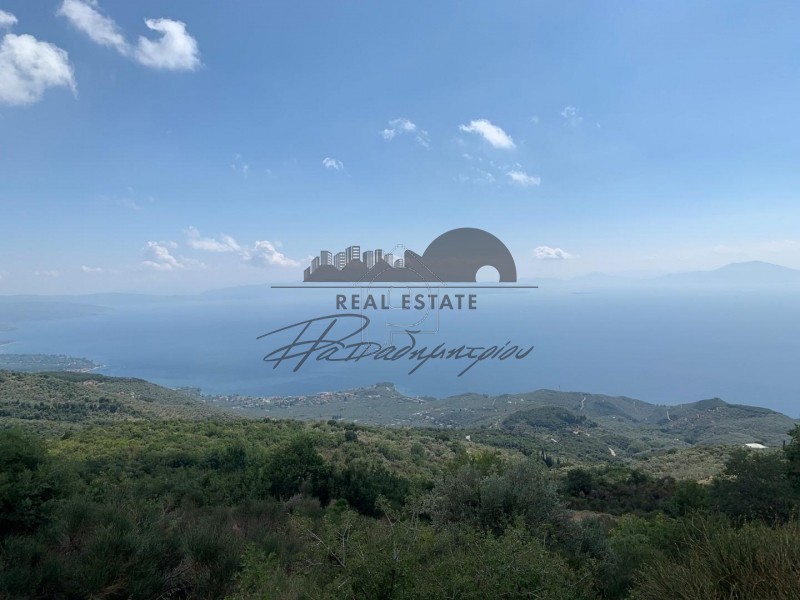 Parcel 7.390sqm for sale-Milies » Agios Georgios Nileias
