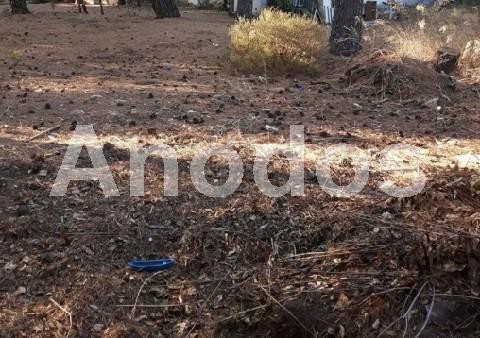 Οικόπεδο 1.680τ.μ. για πώληση-Δροσιά