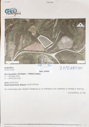 Αγροτεμάχια 4.000 τ.μ. για πώληση, Χαλκιδική, Σταγείρων - Ακάνθου