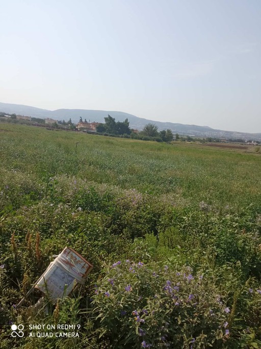 Αγροτεμάχια 8.000 τ.μ. για πώληση